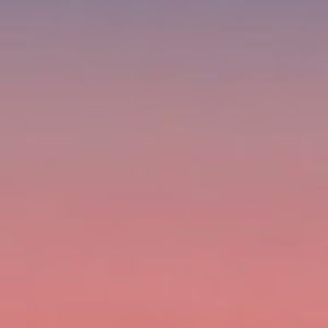 Meet your Posher, Mirna